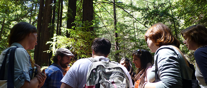 UCSC Campus Reserve Steward leading a class hike in the coast redwood forest