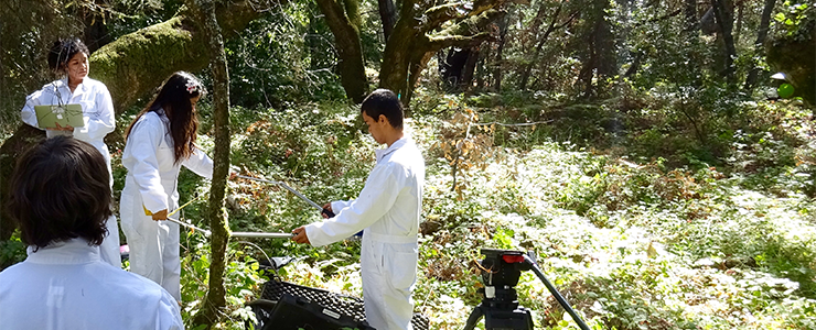 UCSC Forest Ecology Research Plot interns use sonic tomography equipment to collect data. 