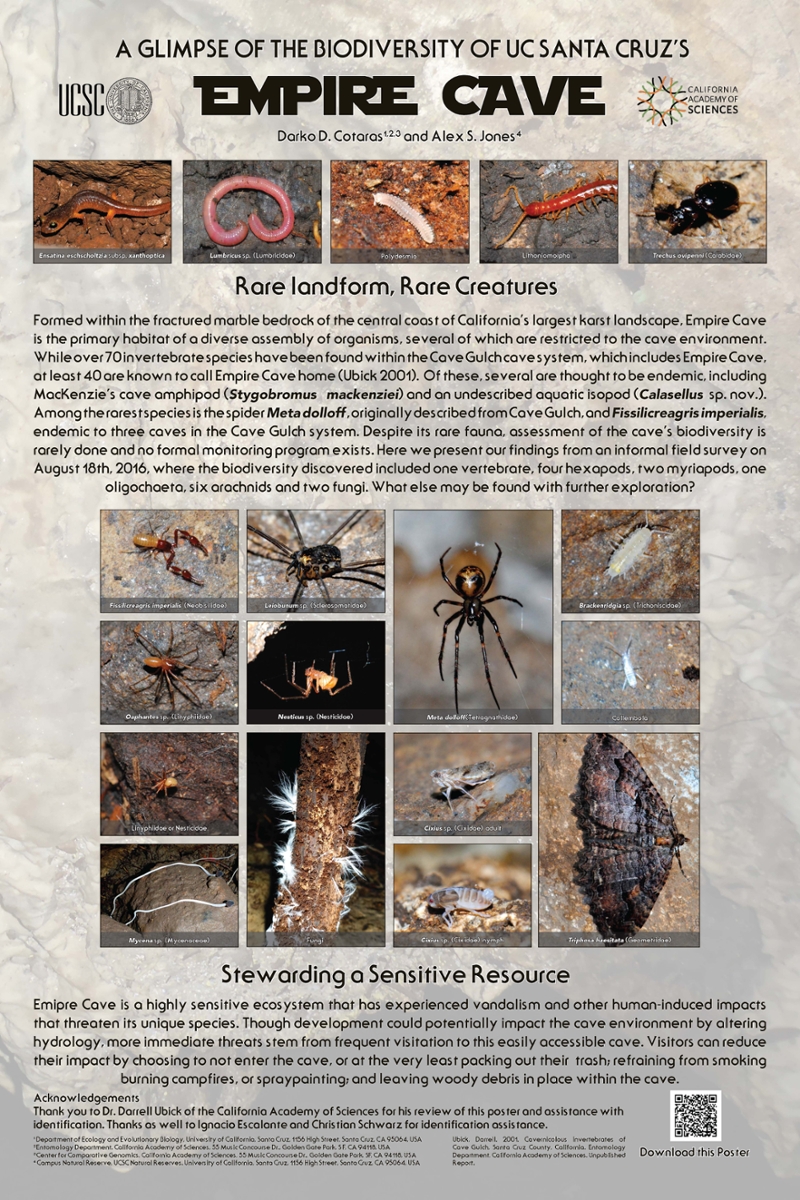 This image displays photos and text of Empire Cave's biodiversity