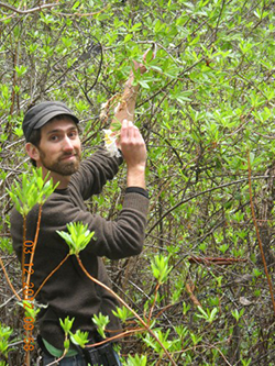 Alex Jones - UC Santa Cruz Natural Reserve Manager
