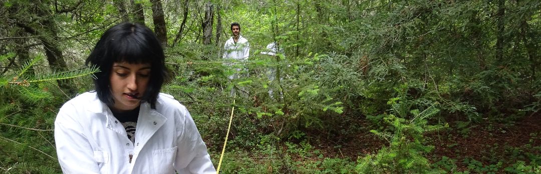 Students working on Forest Ecology Research Plot