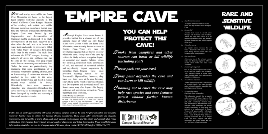 A Glimpse of Empire Cave s Biodiversity