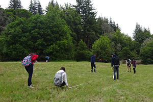 Students create a transect for insect study during ENVS 100 field trip