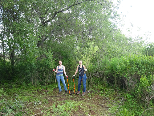 Two UCSC Campus Reserve Interns help remove invasive plants during a Saturday work party