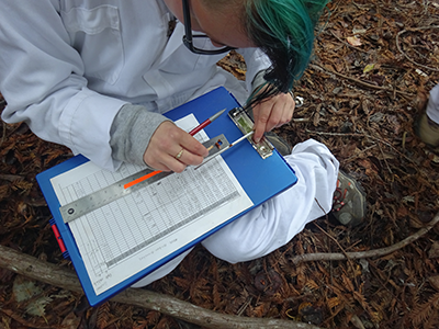 CNR intern observes tree growth rings in core sample