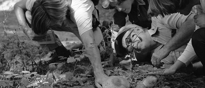 Ken Norris and students study natural history on UCSC campus in Fall of 1977.